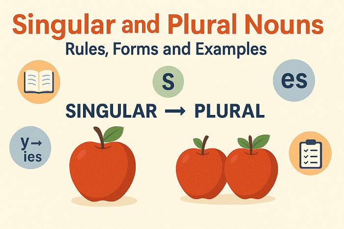 Singular and Plural Words- Rules, Forms and Examples
