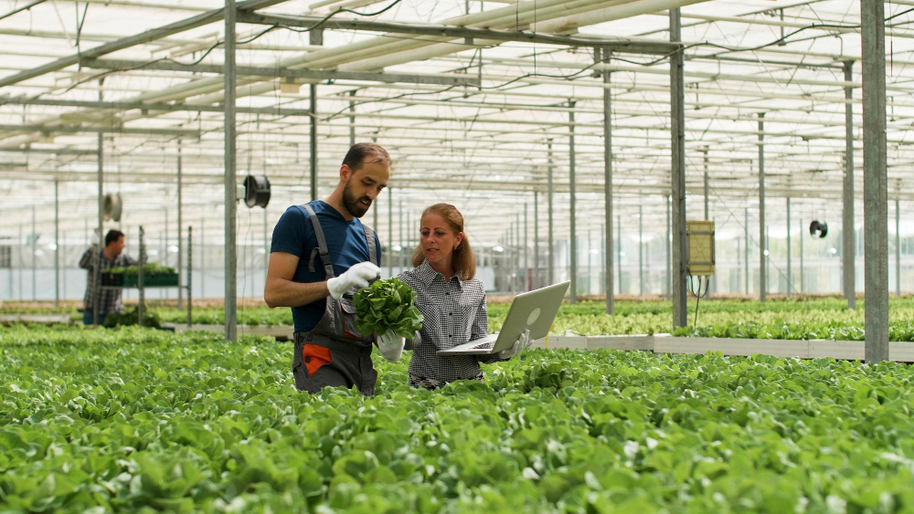 Top 10 agriculture universities for study abroad